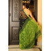 Pure Handloom Zari Embroidered Linen Saree – HJ062 - Black/Green