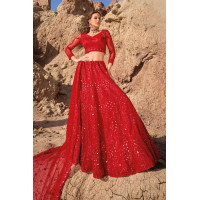 Beautiful Red Pure Net Lehenga with Mirror and Zarkan work – LF188